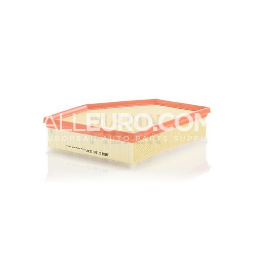 MANN FILTER Main Air Filter 13718691835